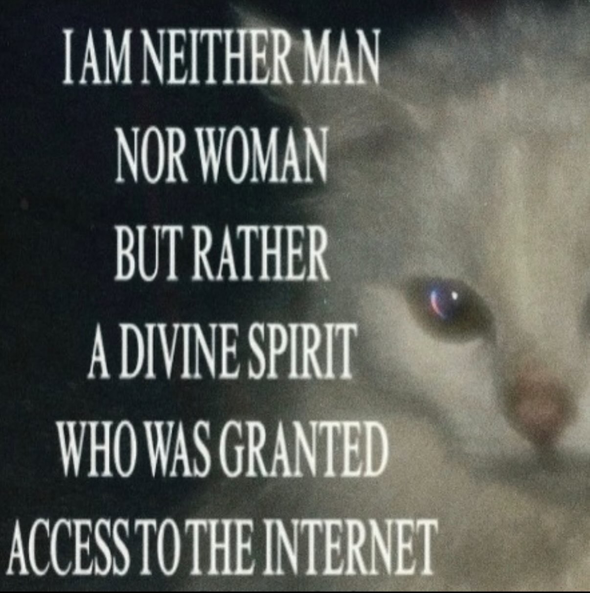 NEITHER MAN NOR WOMAN BUT RATHER SPIRIT WHO WAS GRANTED INTERNET