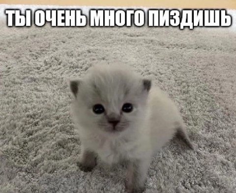 ТЫ ОЧЕНЬ МНОГО ПИЗДИШЬ]