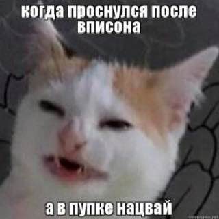 когда проснулся после вписона пупке нацвай