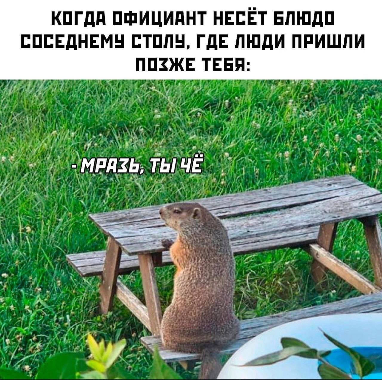 КОГДА ОФИЦИАНТ НЕСЕТ БЛЮДО СОСЕДНЕМУ СТОЛУ, ГДЕ ЛЮДИ ПРИШЛИ ПОЗЖЕ ТЕБЯ: 7 МРАЗЬ, ТЫ ЧЕ A