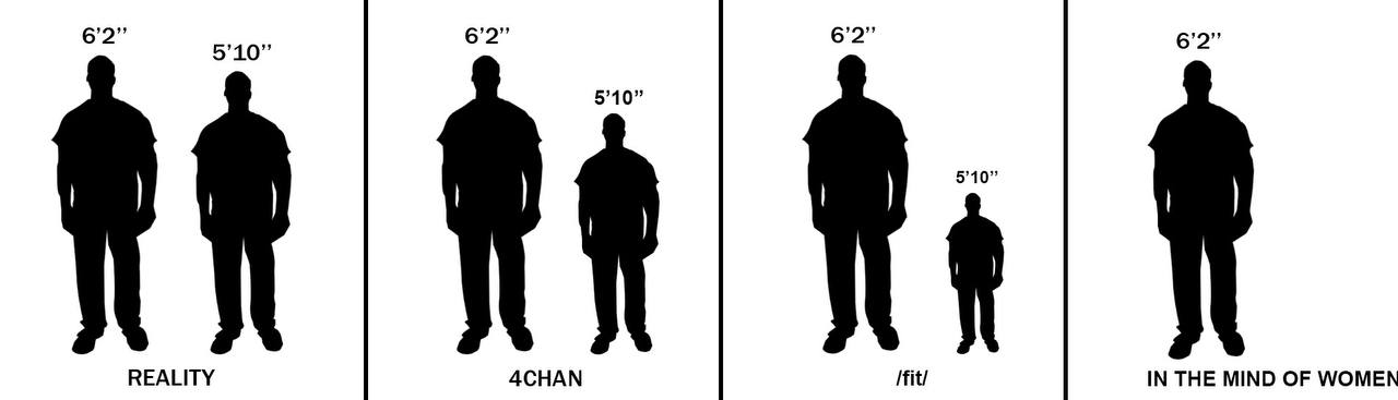 5'10” 6’2”’ 6 6 5°10” 5°10 REALITY 4CHAN IN THE MIND OF WOMEN