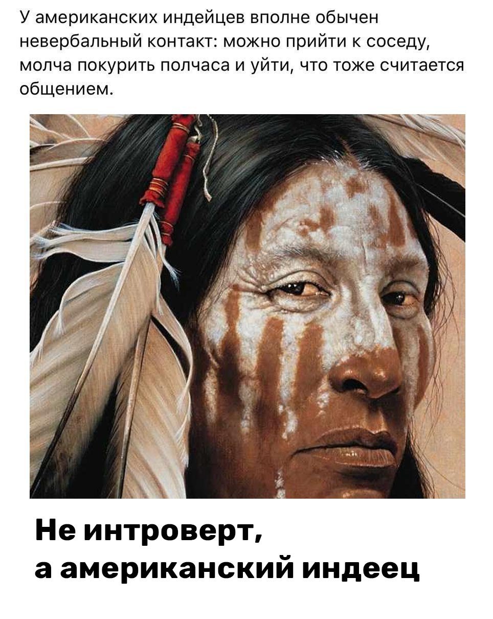 У американских индейцев вполне обычен невербальный контакт: можно прийти к соседу, молча покурить полчаса и уйти, что тоже считается общением. Не интроверт, а американский индеец