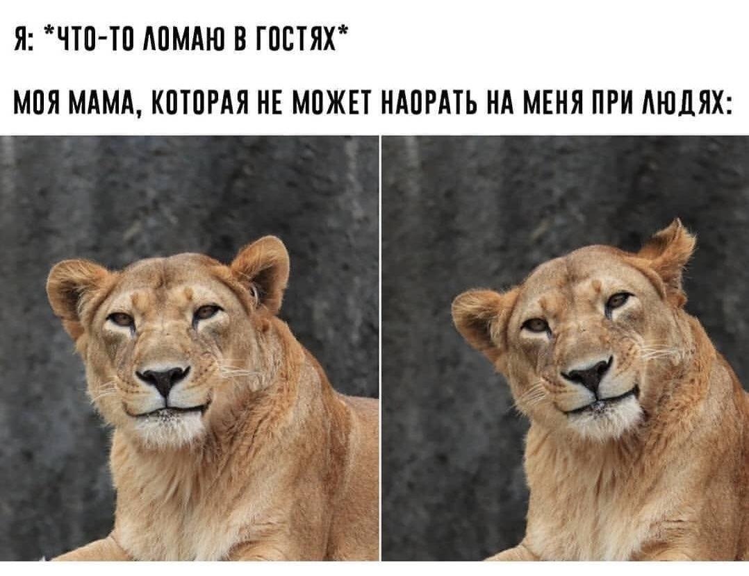 Я: “ЧТО-ТО ЛОМАЮ В ГОСТЯХ" МОЯ МАМА, КОТОРАЯ НЕ МОЖЕТ НАОРАТЬ НА МЕНЯ ПРИ ЛЮДЯХ a if