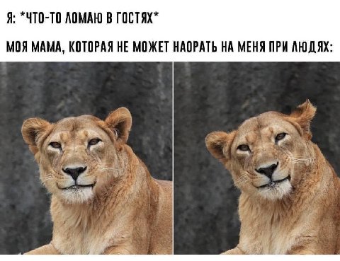 Я: “ЧТО-ТО ЛОМАЮ В ГОСТЯХ" МОЯ МАМА, КОТОРАЯ НЕ МОЖЕТ НАОРАТЬ НА МЕНЯ ПРИ ЛЮДЯХ a if