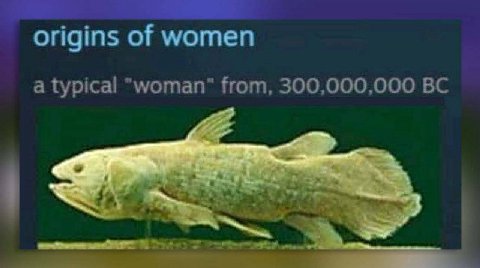 origins of women a typical "woman" from, 300,000,000