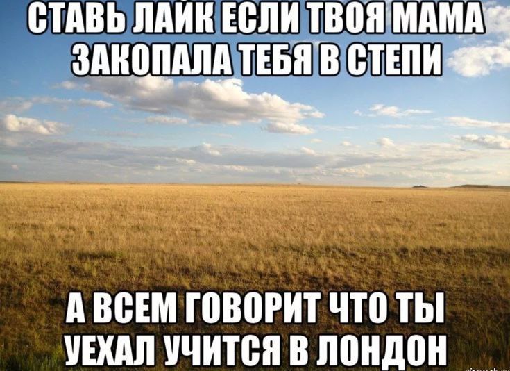 СТАВЬ ЛАИК ЕСЛИ ТВОЯ МАМА ЗАКОПАЛА ТЕБЯ В СТЕПИ А ВСЕМ ГОВОРИТ ЧТО ТЫ УЕХАЛ УЧИТСЯ В ЛОНДОН