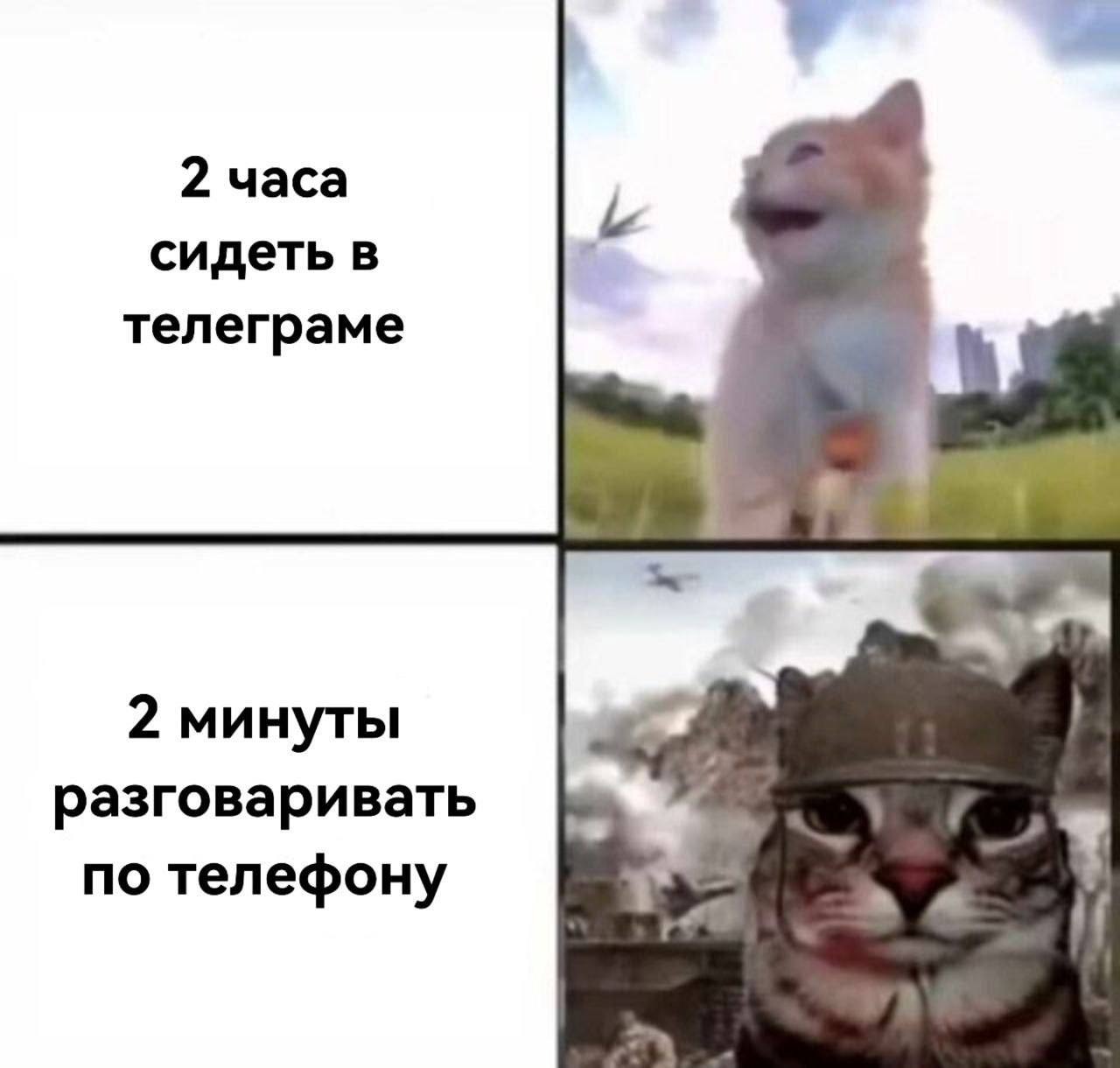2 часа сидеть в телеграме 2 минуты разговаривать по телефону