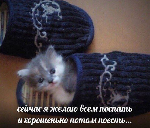 сейчас я желаю всем поспать и хорошенько потом поесть...