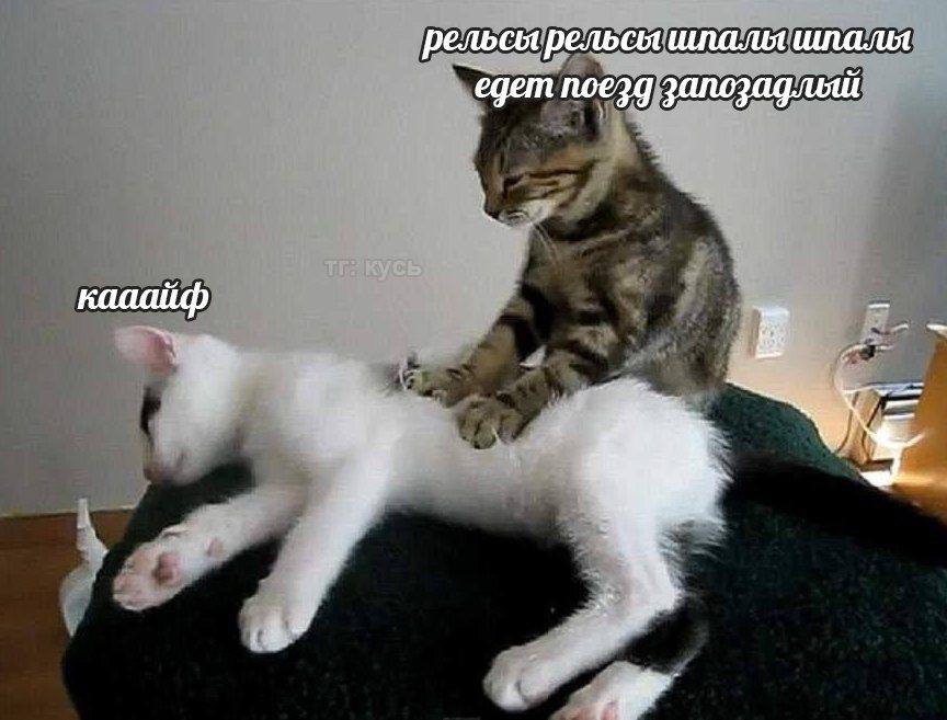 все, что мне сейчас нужно