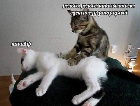 все, что мне сейчас нужно