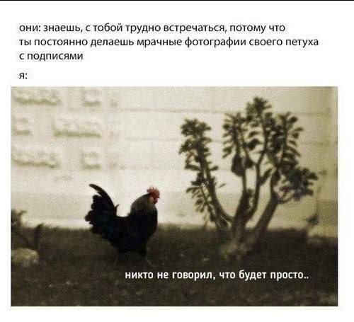 они: знаещь, с тобой трудно встречаться, потому что ты постоянно делаешь мрачные фотографии своего петуха с подписями A никто не говорил, что будет просто..