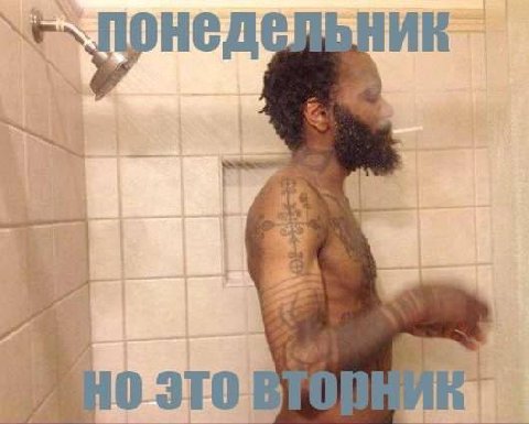 мы котята и дез грипс мы котята и дез грипс