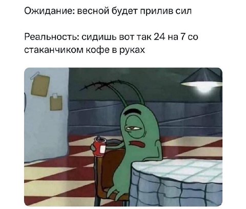 Ожидание: весной будет прилив сил Реальность: сидишь вот так 24 на 7 стаканчиком кофе в руках 4 at