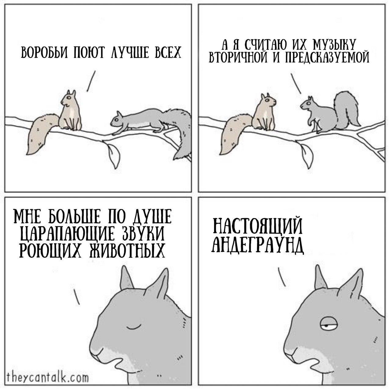 Я СЧИТАЮ МУЗЫКУ ВОРОБЬИ ПОЮТ ЛУЧШЕ ВСЕХ ВТОРИЧНОЙ И МНЕ БОЛЬШЕ ПО ДУШЕ НАСТОЯЩИЙ РОЮЩИХ ЖИВОТНЫХ ЦАРАПАЮЩИЕ theycantalk.com