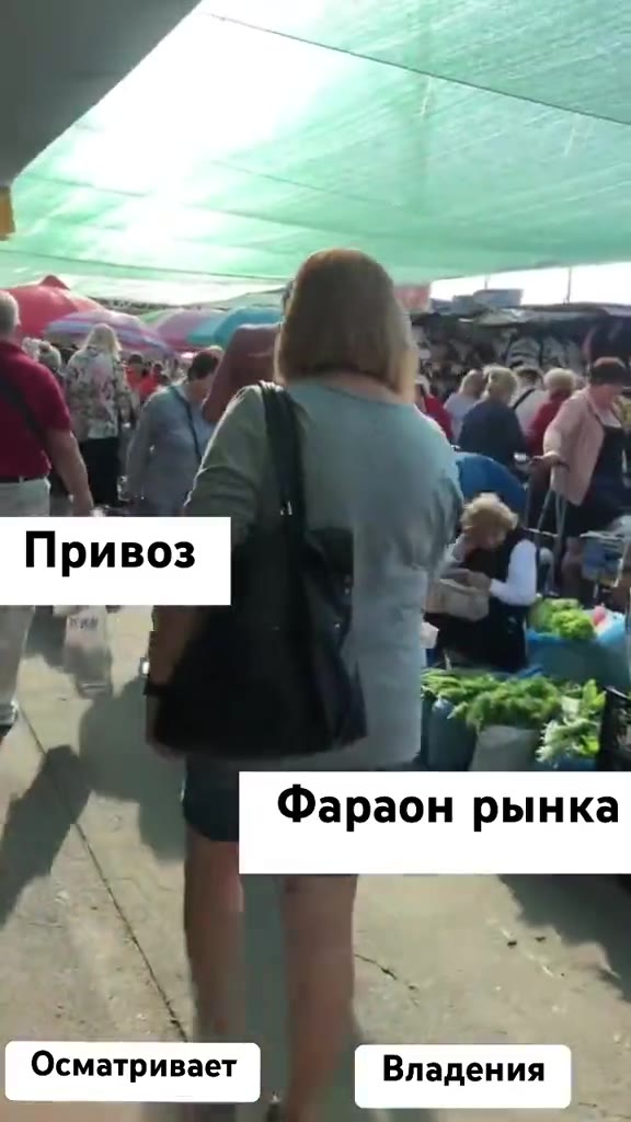 = 0 Фараон рынка Осматривает ¢ [ Владения |