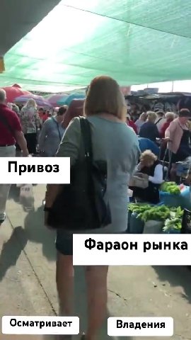= 0 Фараон рынка Осматривает ¢ [ Владения |