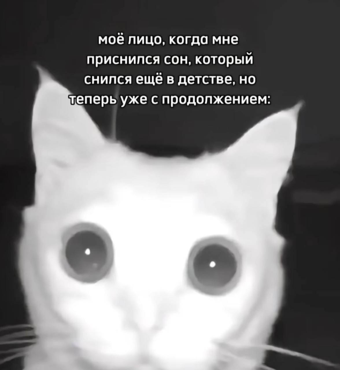 моё лицо, когда мне приснипся сон, который снился ещё в детстве, но теперь уже с продолжением