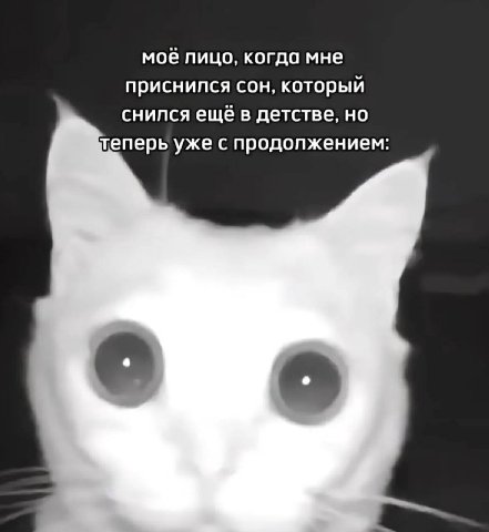моё лицо, когда мне приснипся сон, который снился ещё в детстве, но теперь уже с продолжением