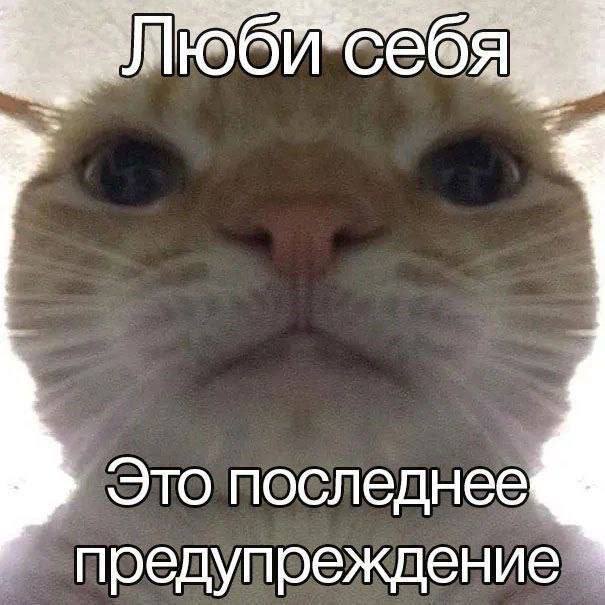 Это последнее предупреждение
