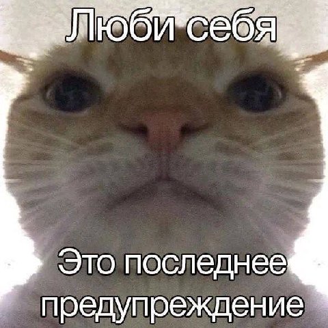 Это последнее предупреждение