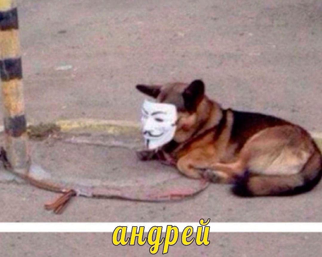 9”. a a я att we he в) бак у у 5 7 2 7 A у a