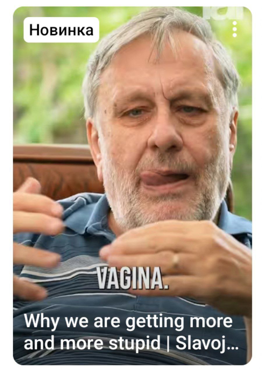 Новинка Why are getting more and more-stupid Slavoj...