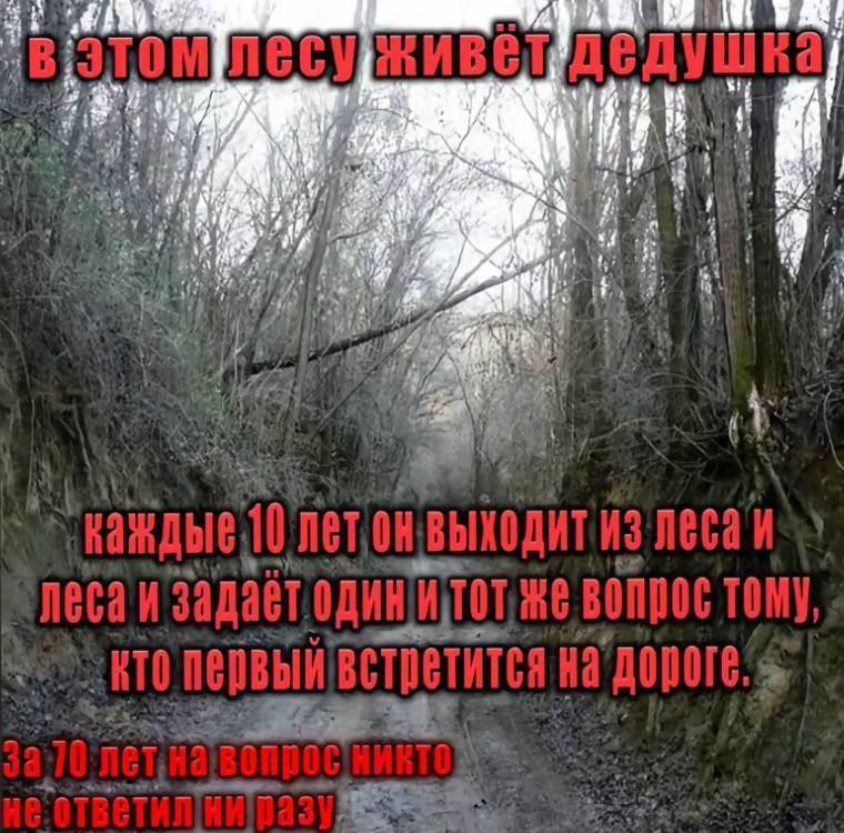 У 5 к. AN 4 4 a 4 A a 4 4