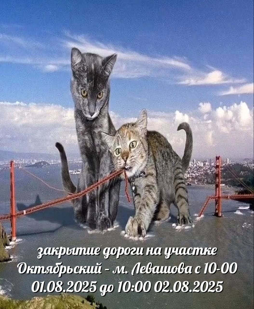4 1 закрытие дороги на участке Октядрьский с 10-00 01.08.2025 10:00 02.08.2025