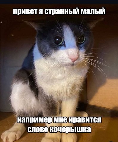 приветя странный малый 4% например мненравится слово ночепышка a