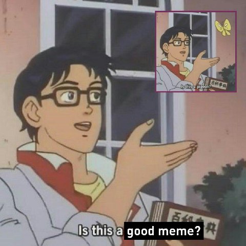 Is this а good тете?