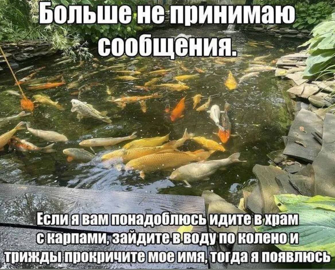 не принимаю понадоблюсь идите карпами, зайдите Воду поколенои трижды прокричите мое имя, тогда я появлюсь