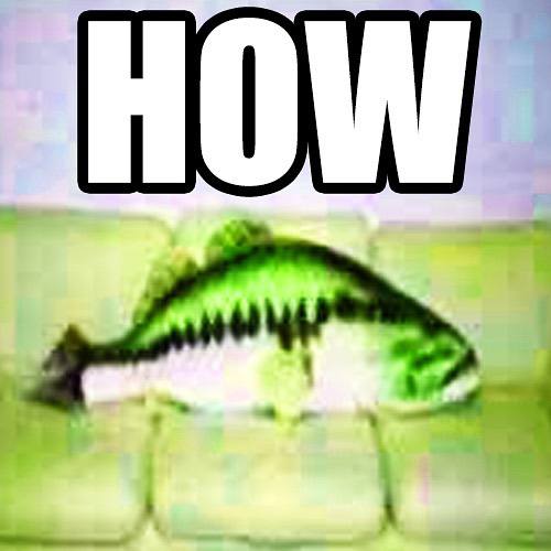 HOW