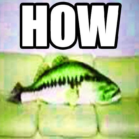 HOW