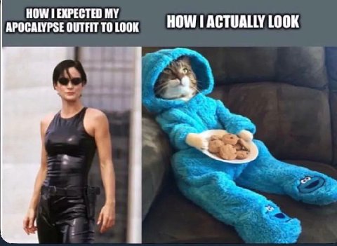 HOW EXPECTED MY APOCALYPSE OUTFIT TO LOOK HOW ACTUALLY LOOK