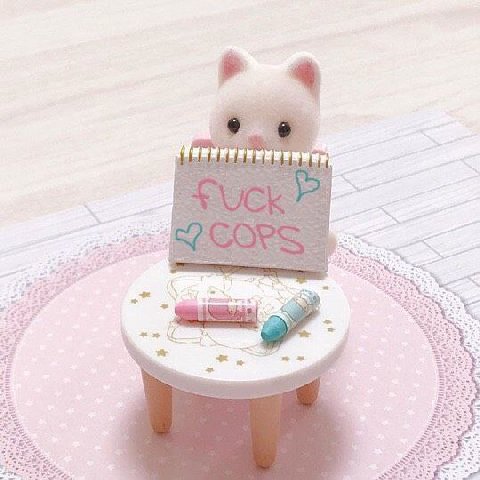 5 5