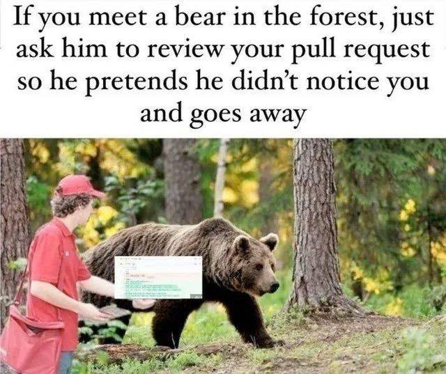 If you meet a bear in the forest, just ask him to review your pull request so he pretends he didn’t notice you and 4