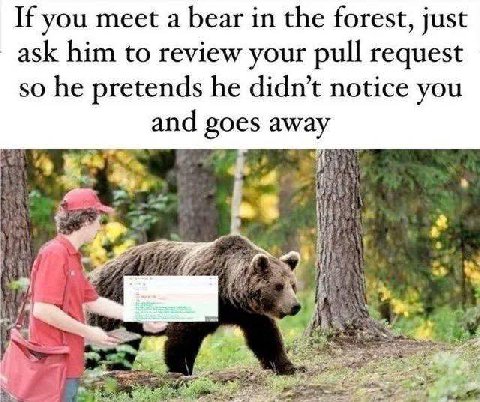 If you meet a bear in the forest, just ask him to review your pull request so he pretends he didn’t notice you and 4