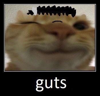 guts