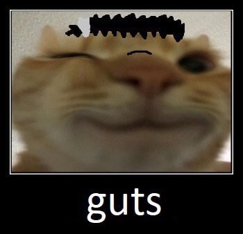 guts