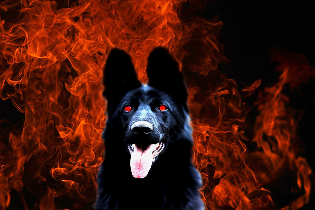 к к 4 Ars у AlN у и у <a a К 4 А С И у