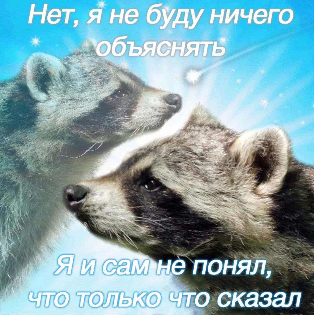 Нет, я не буду ничего понял, сказал