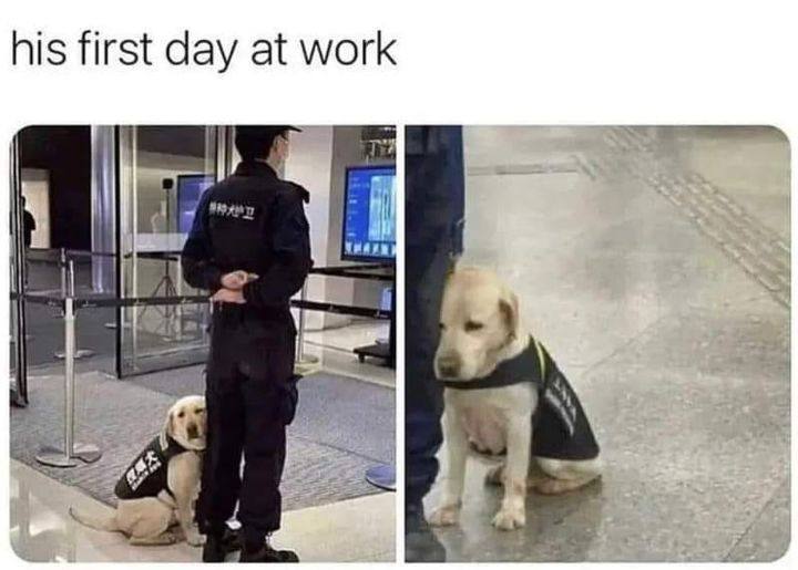 his first day at work 4