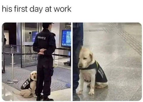 his first day at work 4