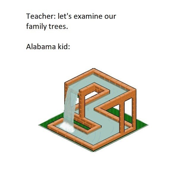 Teacher: let's examine our family trees. Alabama kid: