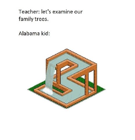 Teacher: let's examine our family trees. Alabama kid: