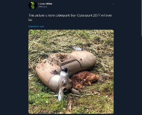 Lucas Millan У @Hreter This picture is more cyberpunk than Cyberpunk 2077 will ever be Перевести твит мы