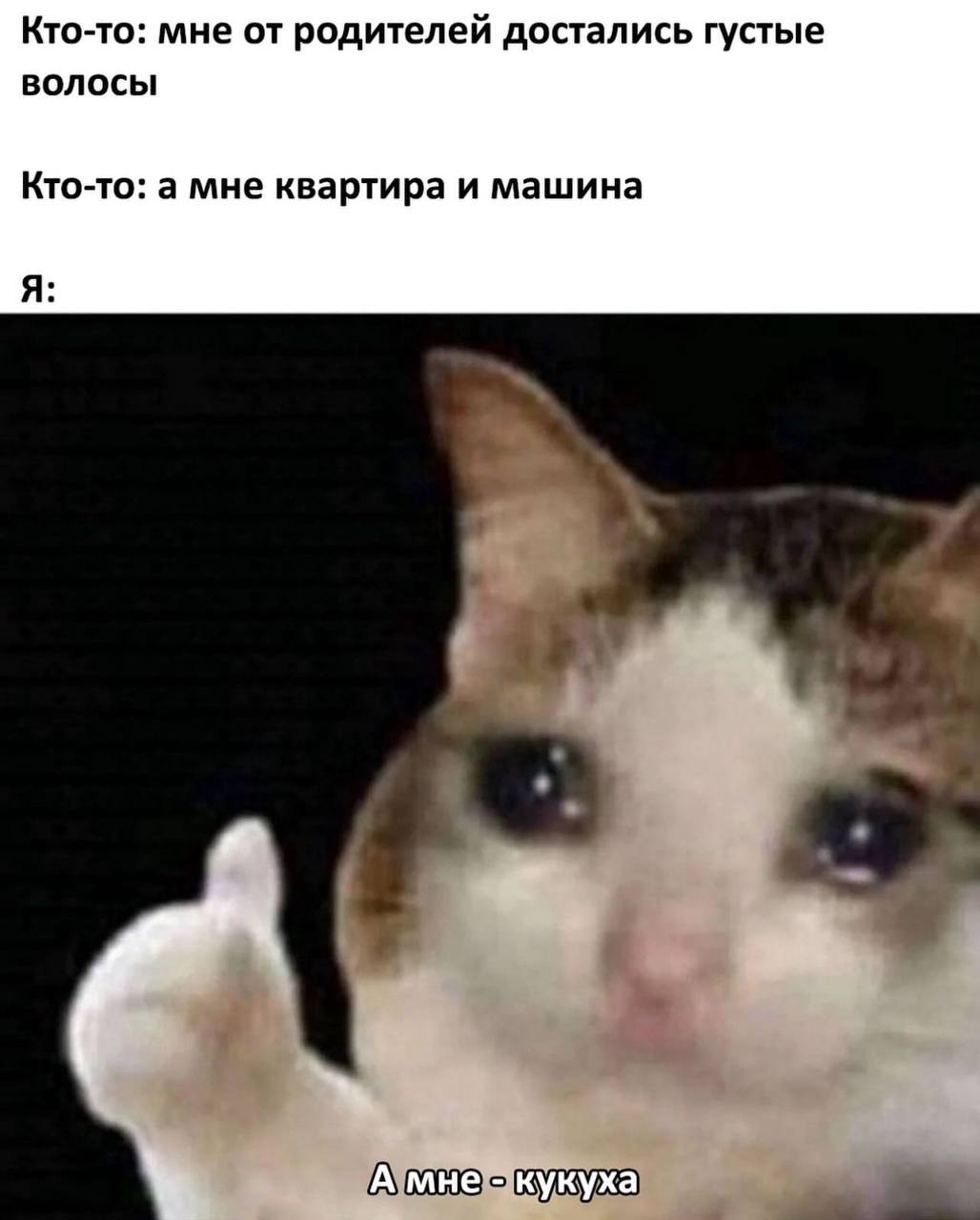 Кто-то: мне от родителей достались густые волосы Кто-то: а мне квартира и машина Я: