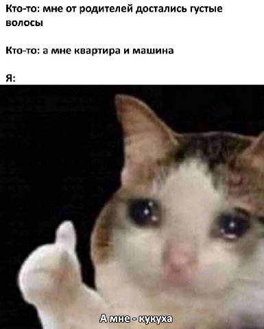 Кто-то: мне от родителей достались густые волосы Кто-то: а мне квартира и машина Я: