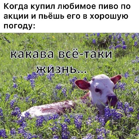 Когда купил любимое пиво по акции и пьешь его в хорошую погоду 1 всё-та ЖИЗНЬ...
