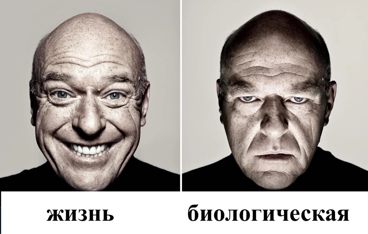 had 77 У 4 i bis: ЖИЗНЬ биологическая